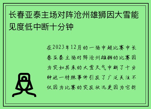 长春亚泰主场对阵沧州雄狮因大雪能见度低中断十分钟 长春亚泰主场对阵沧州雄狮因大雪能见度低中断十分钟